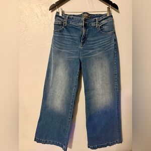 Torrid Dark Blue Flare Jeans